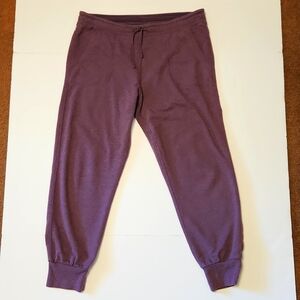 Patagonia Sweat Pants